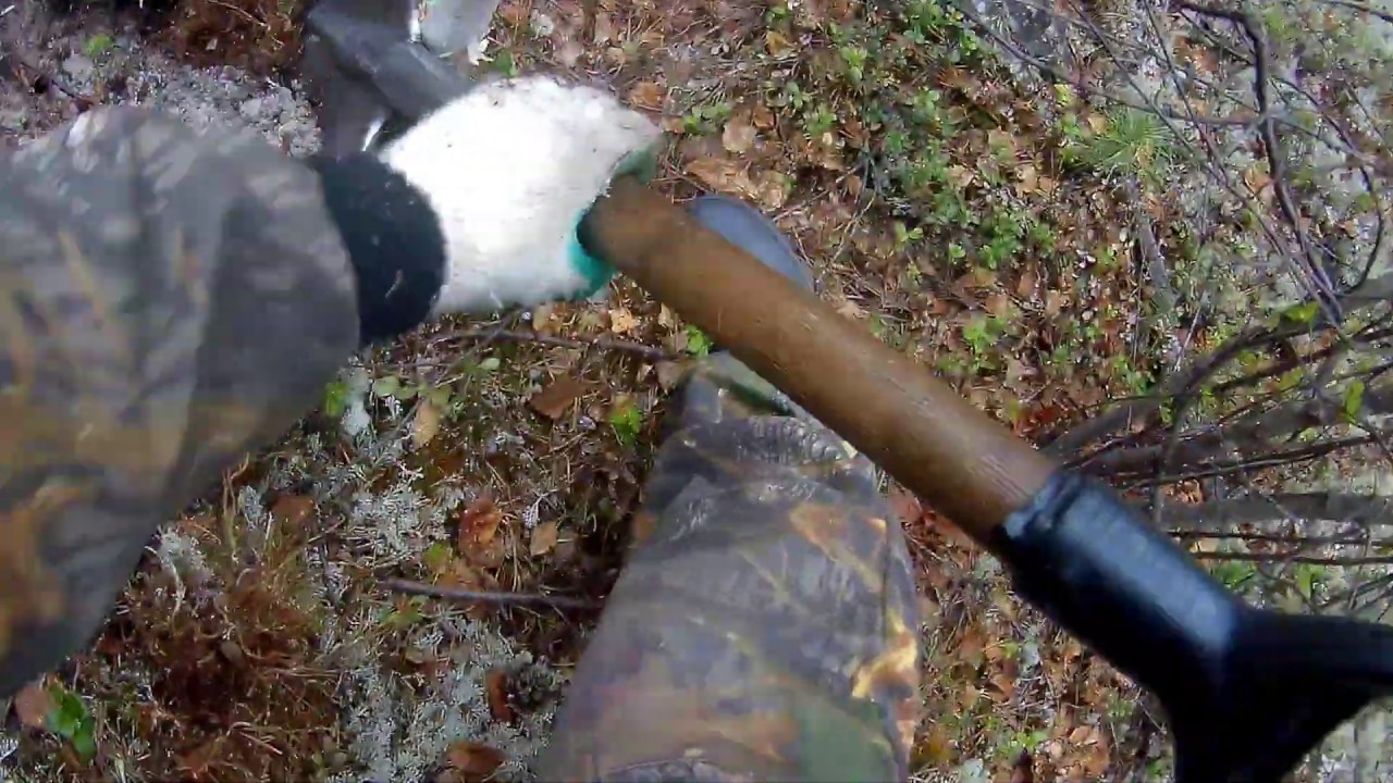 Коп в Тридевятом Царстве Minelab 3030