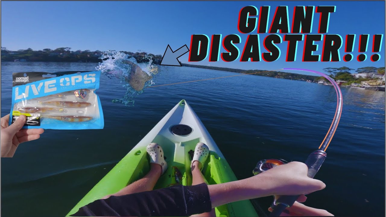 NEW SERIES - HUNT FOR PB FLATHEAD, DISASTER (Sydney flathead)