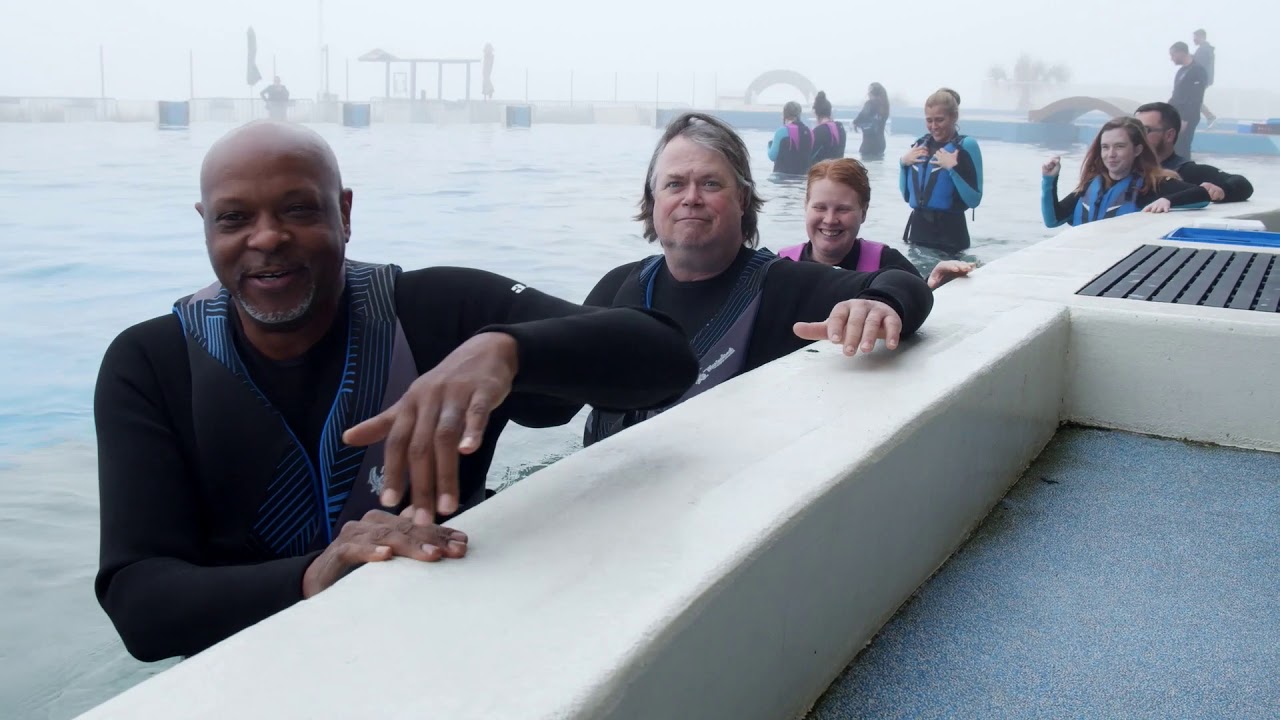 Couples Project Odyssey: Swimming with Dolphins in St. Augustine, FL