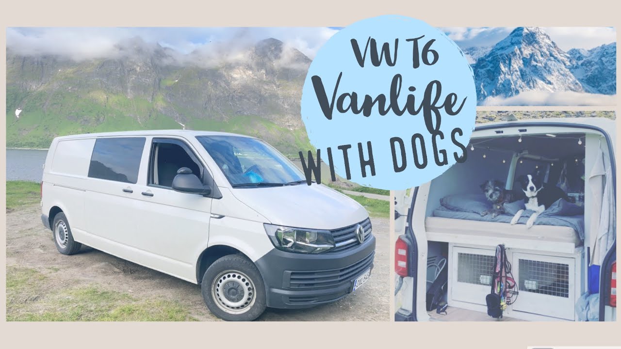 Vanlife with dogs | VW T6 campervan tour