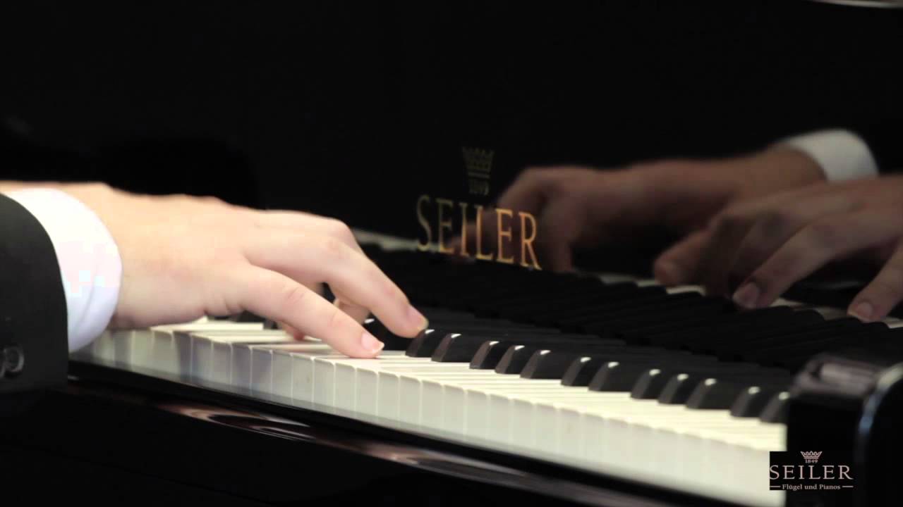 Seiler Performance - Seiler SE-208