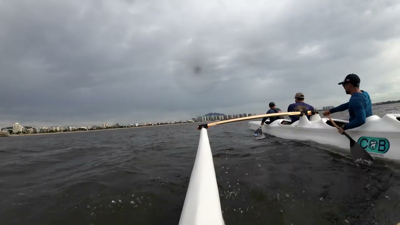 12 de fevereiro de 2026