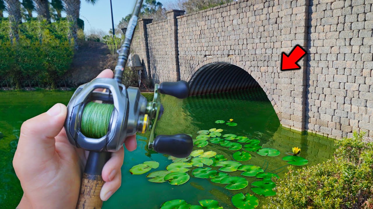 Fishing URBAN CANALS For Spring Bass! (Bed Fishing)