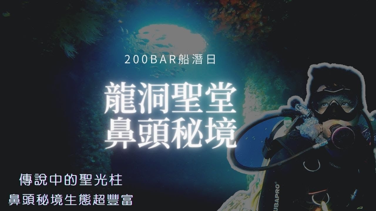 龍洞聖堂|鼻頭秘境|北部最夯潛點|船潛一次帶你玩透透|東北角潛水聖地