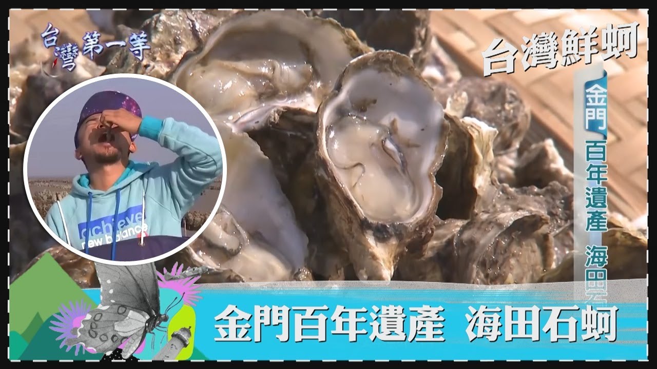 台灣第一等【芳苑黃牛車隊潮間帶運蚵 全台獨有海牛採蚵法／古寧頭石蚵養殖上百年 千頃蚵田生生不息】 _精選特輯