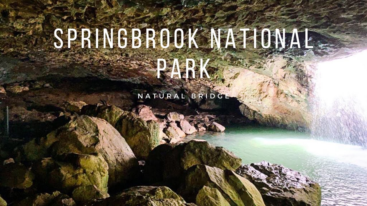 Springbrook National Park (Natural Bridge Section) - Day trip from Brisbane