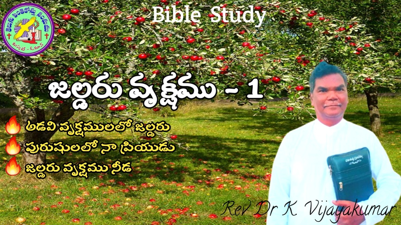 An Apple tree.  By Rev Dr K. Vijaya Kumar
