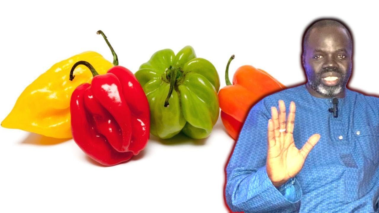 Ndiarignou Kaani ou Les vertus du Piment ( Capsicum ) - Pr Ousmane Ndiaye - SAMA XALAAT TV