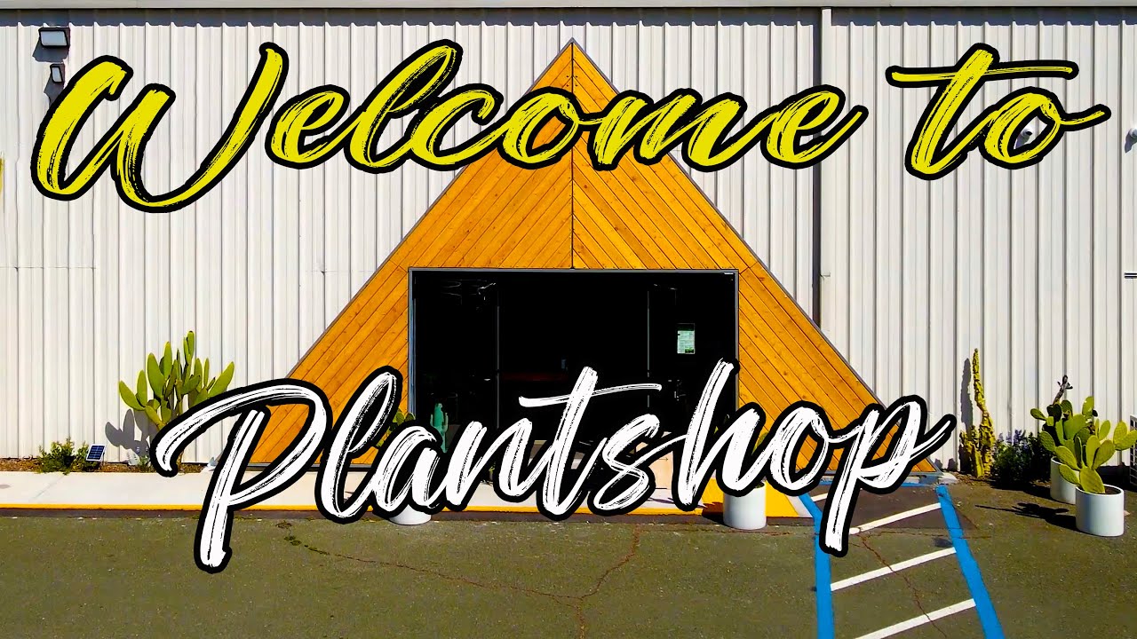 Best Weed shop in northern California Plantshop Drink your Plants  By Tim S. Poma