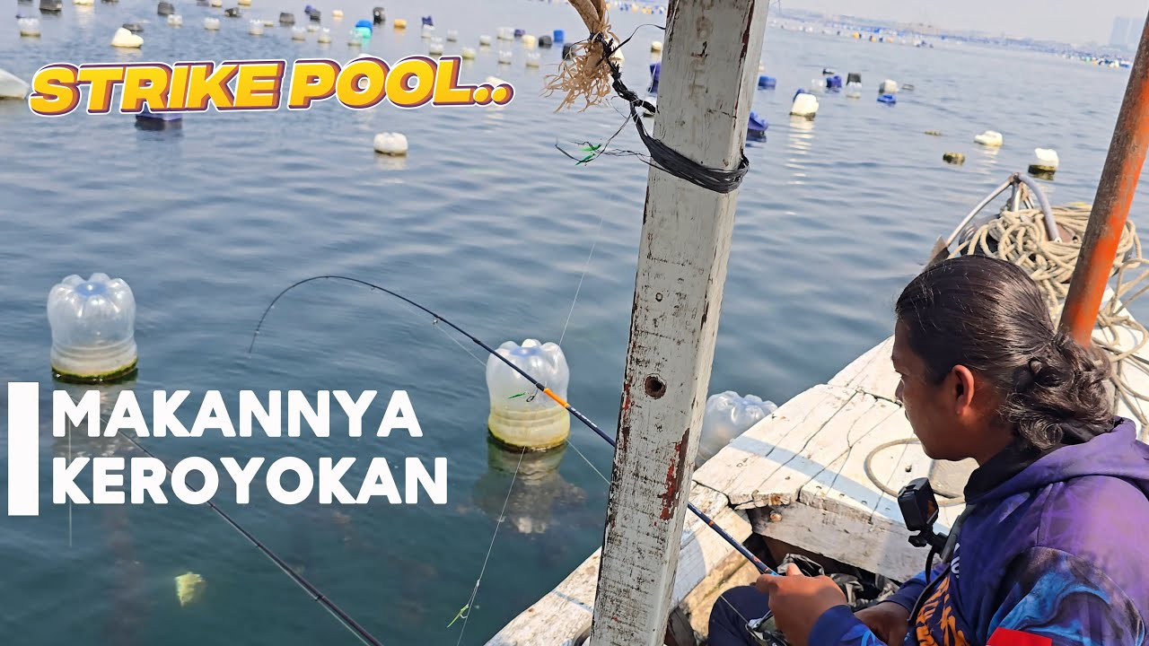 STRIKE POOL..! SPOT MANCING MAKANNYA KEROYOKAN