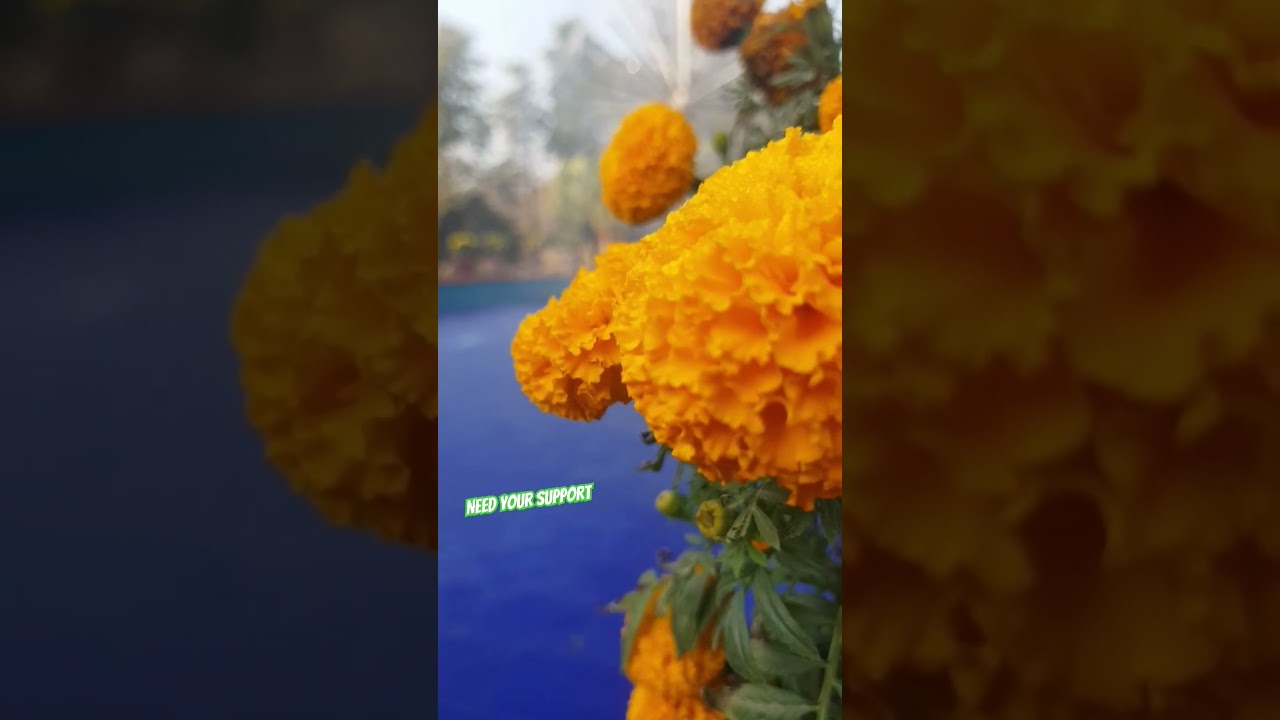 subscribe my channel for more creative content on daily basis. stay blessed 💖