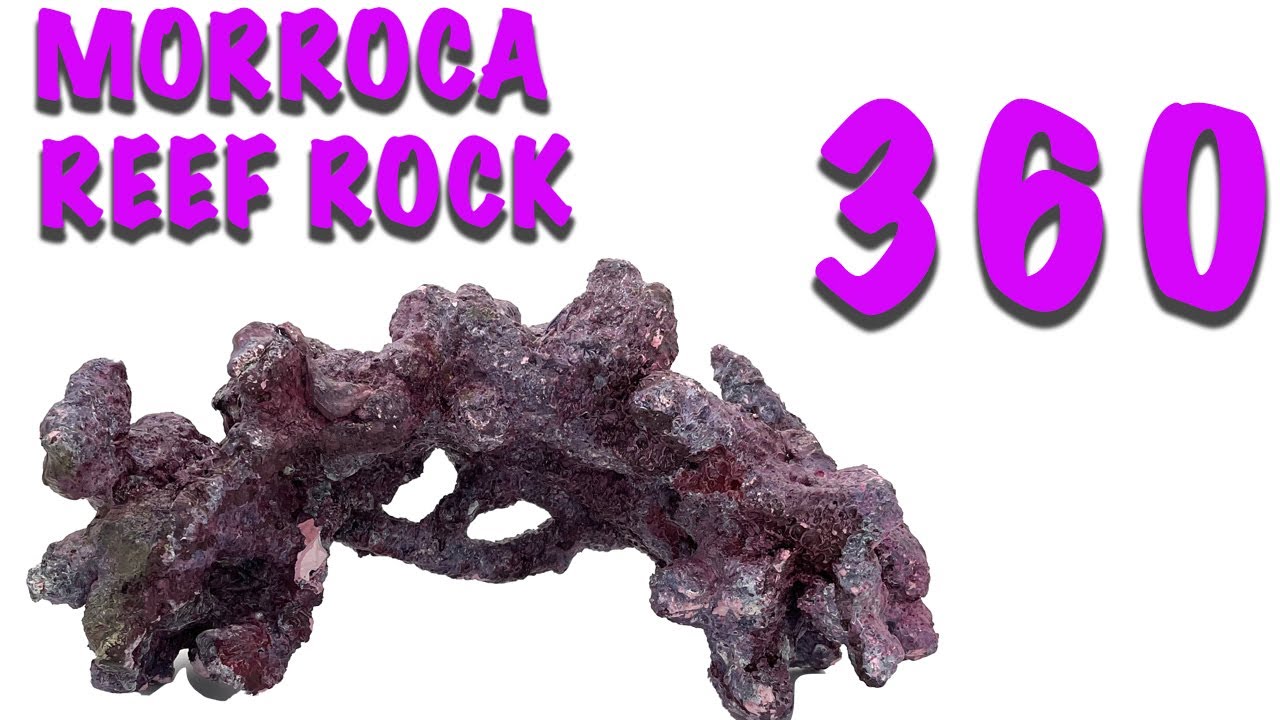 Tropic Eden Morroca Cave Small/Medium Reef Rock - 360 View