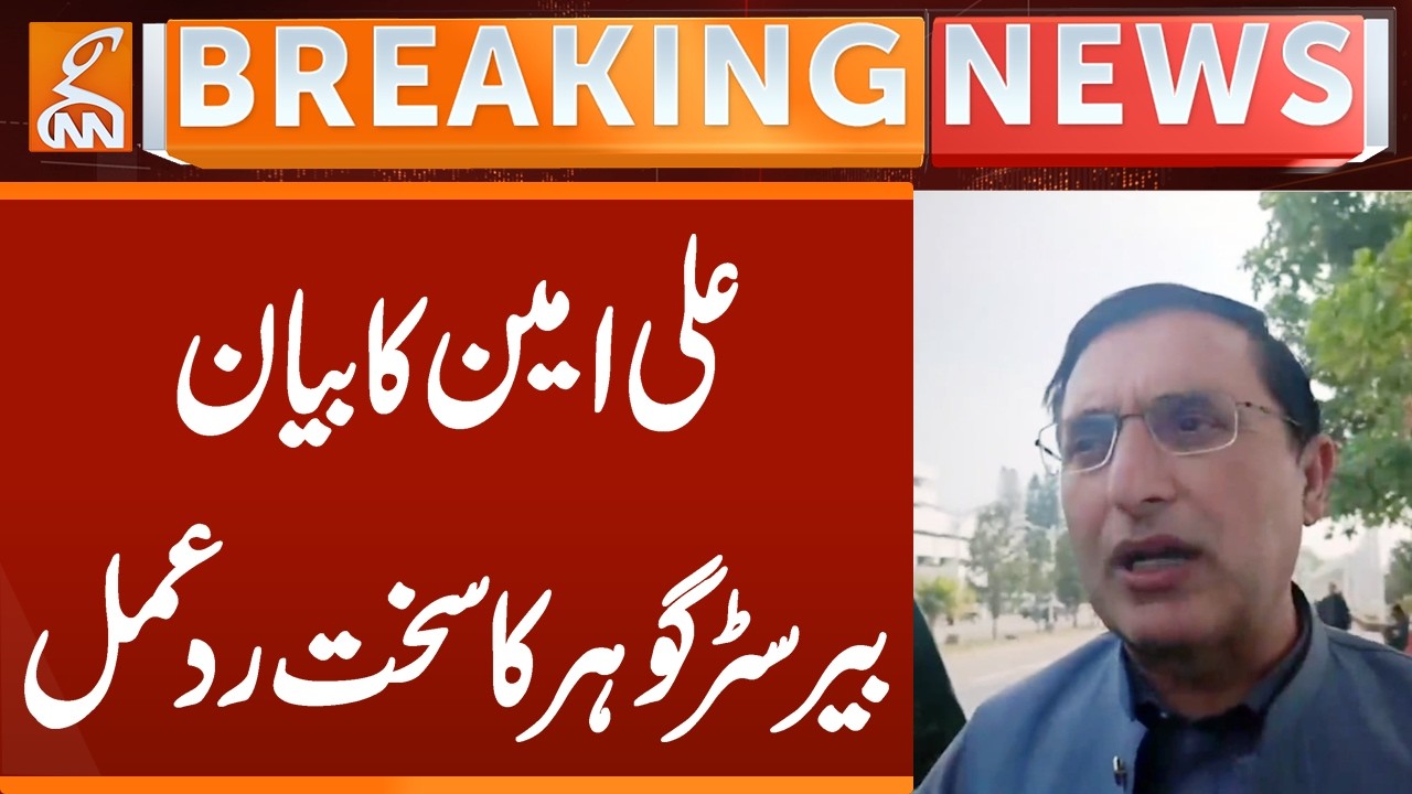 Barrister Gohar Strongly React on ALI Amin Statement | Breaking News | GNN