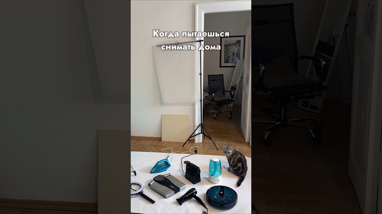 Когда пытаешься работать дома. 