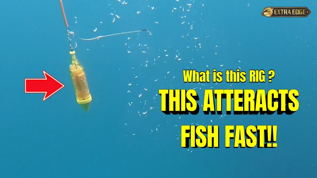 A New Fishing Technique You Should Try – The Gear We Use