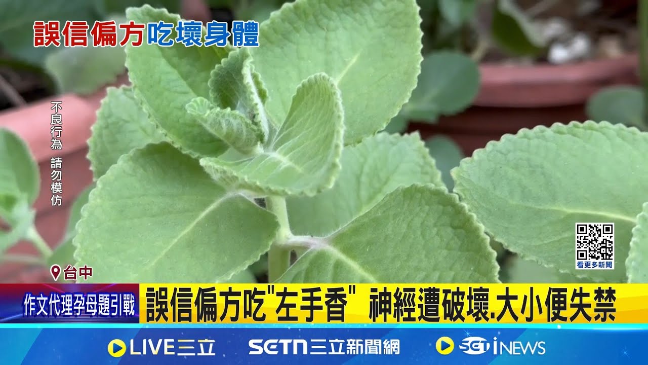 誤信偏方吃