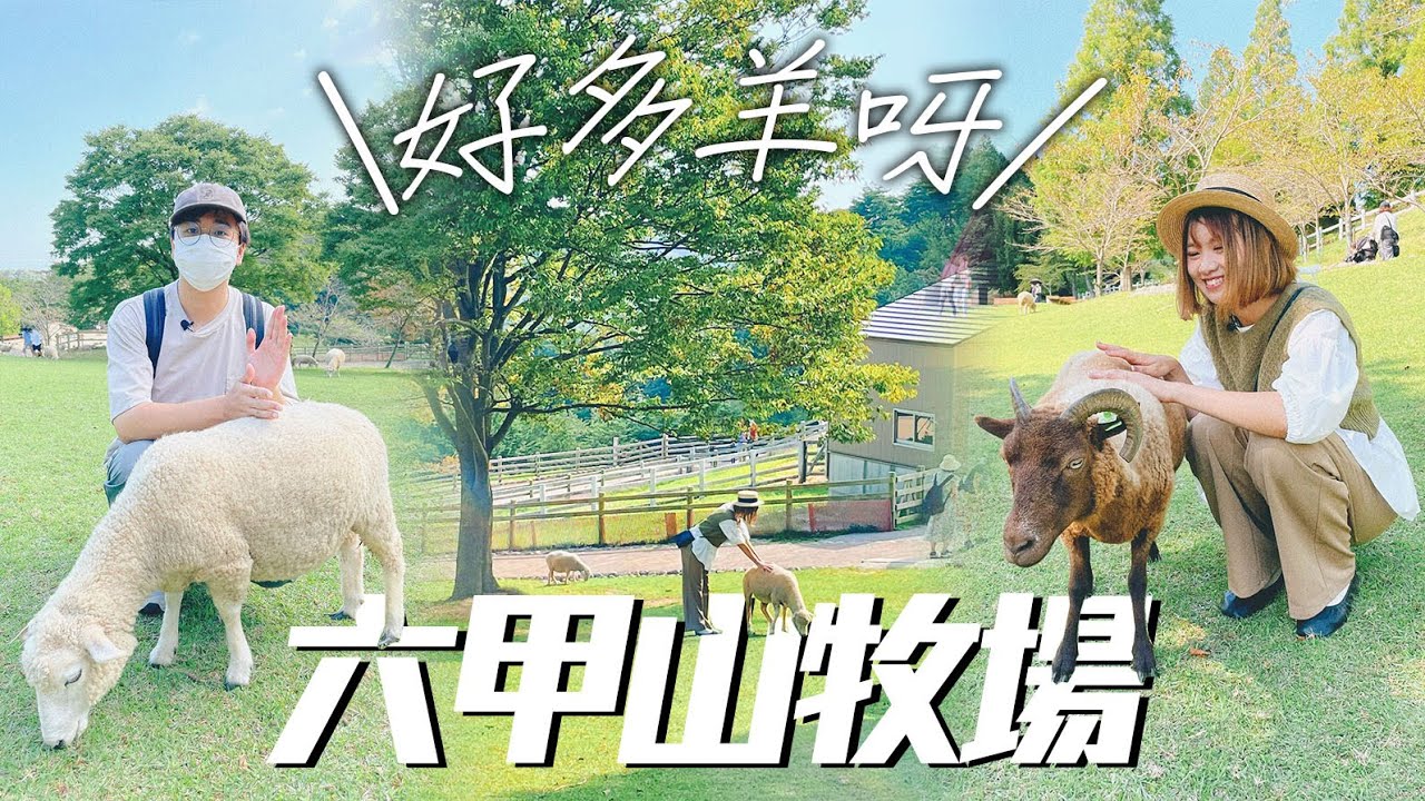 【神戶自駕遊】👫夫婦遊神戶｜🐑🐐🐏羊，全部都係羊🐑🐐🐏！！！『六甲山牧場』
