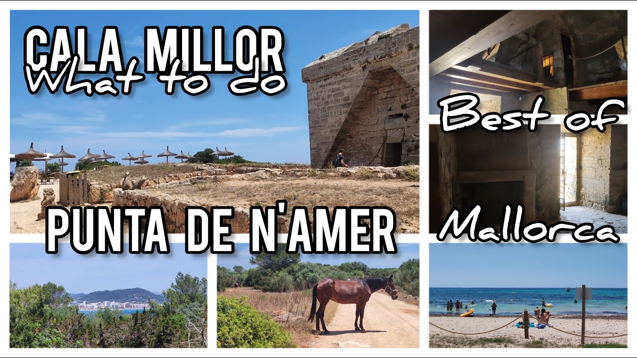 Cala Millor☺️Aktivitäten😱Punta de n' Amer🤩 Ausflugstipp👌Natur🌴Pferde🐎Wehrturm👁️🌞