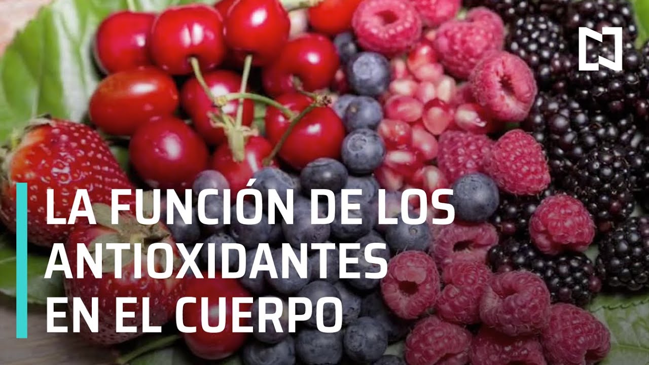 &iquest;Qu&eacute; son y para qu&eacute; sirven los antioxidantes? - Expreso de la Ma&ntilde;ana