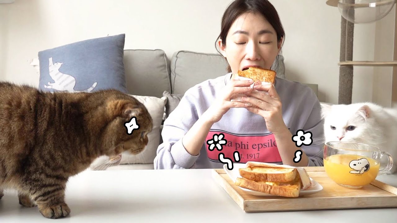 루루 앞에서 방심하는 순간 끝 Vlog