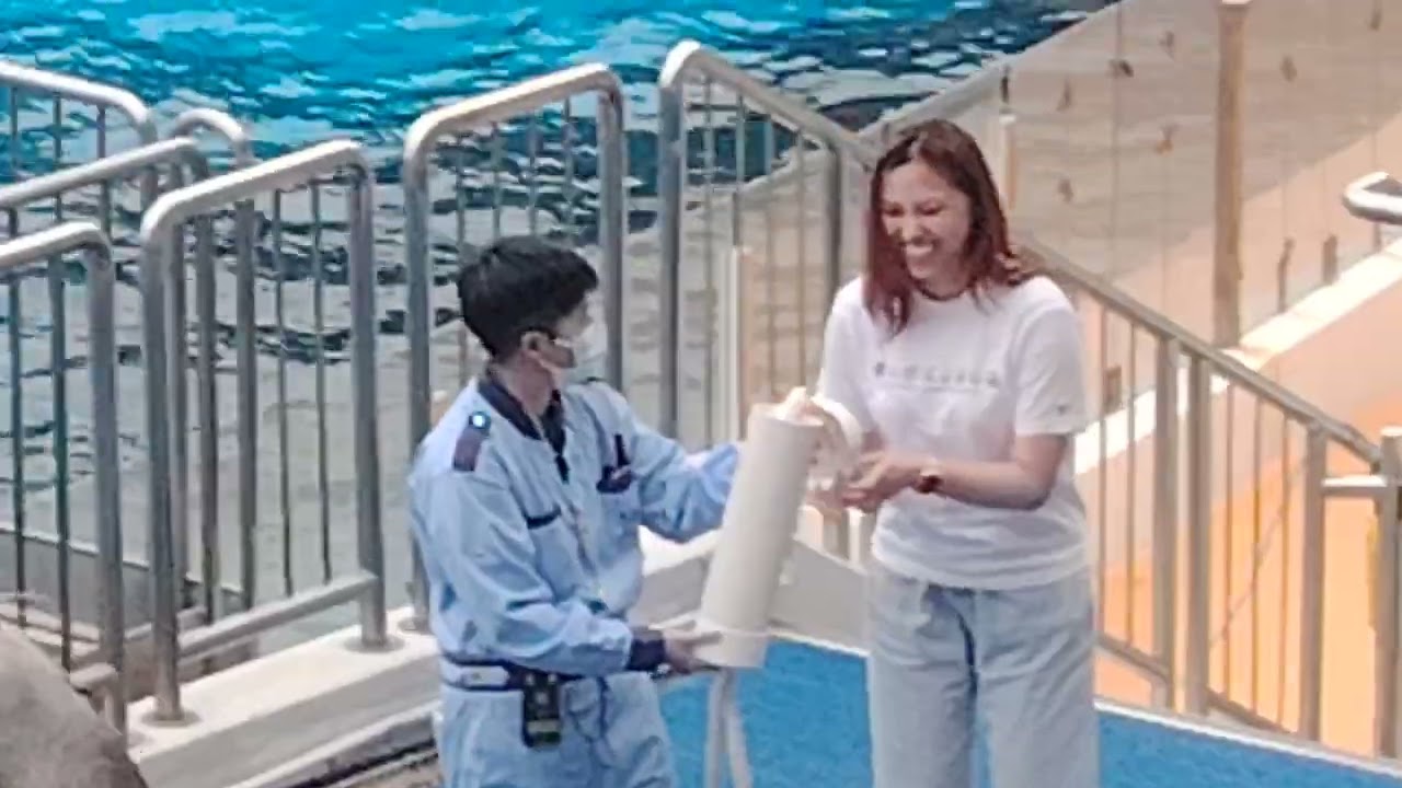 海豚 海獅表演