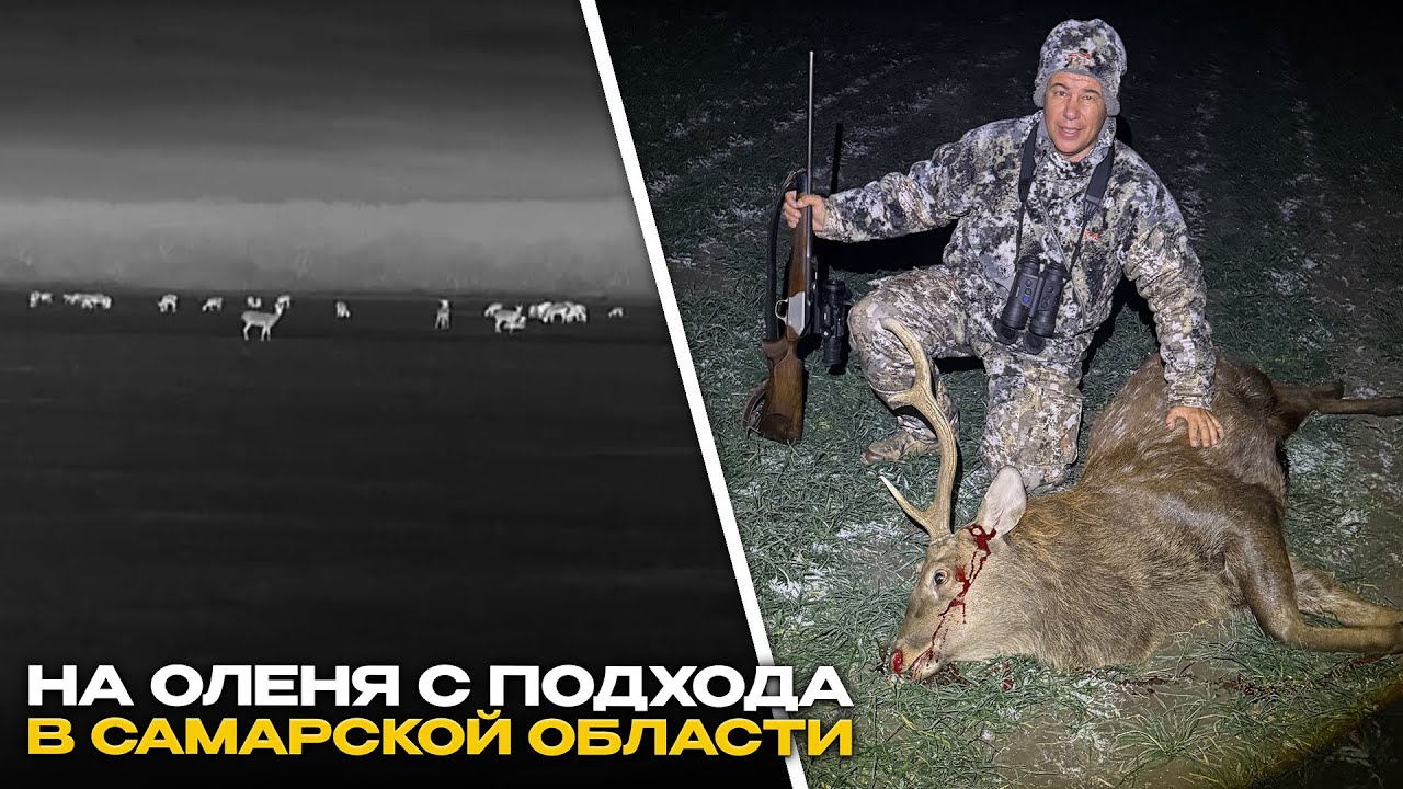 Столько оленя вы не видели | Охота на пятнистого оленя ночью с тепловизором с Arkon Arma