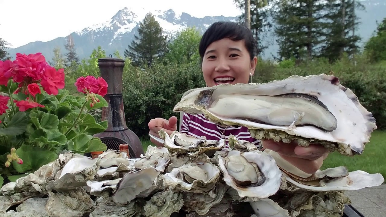 ĐẠI CHIẾN MỘT NÚI HÀU  ngon chịu hết  nổi  😋😋 ,Washington #361