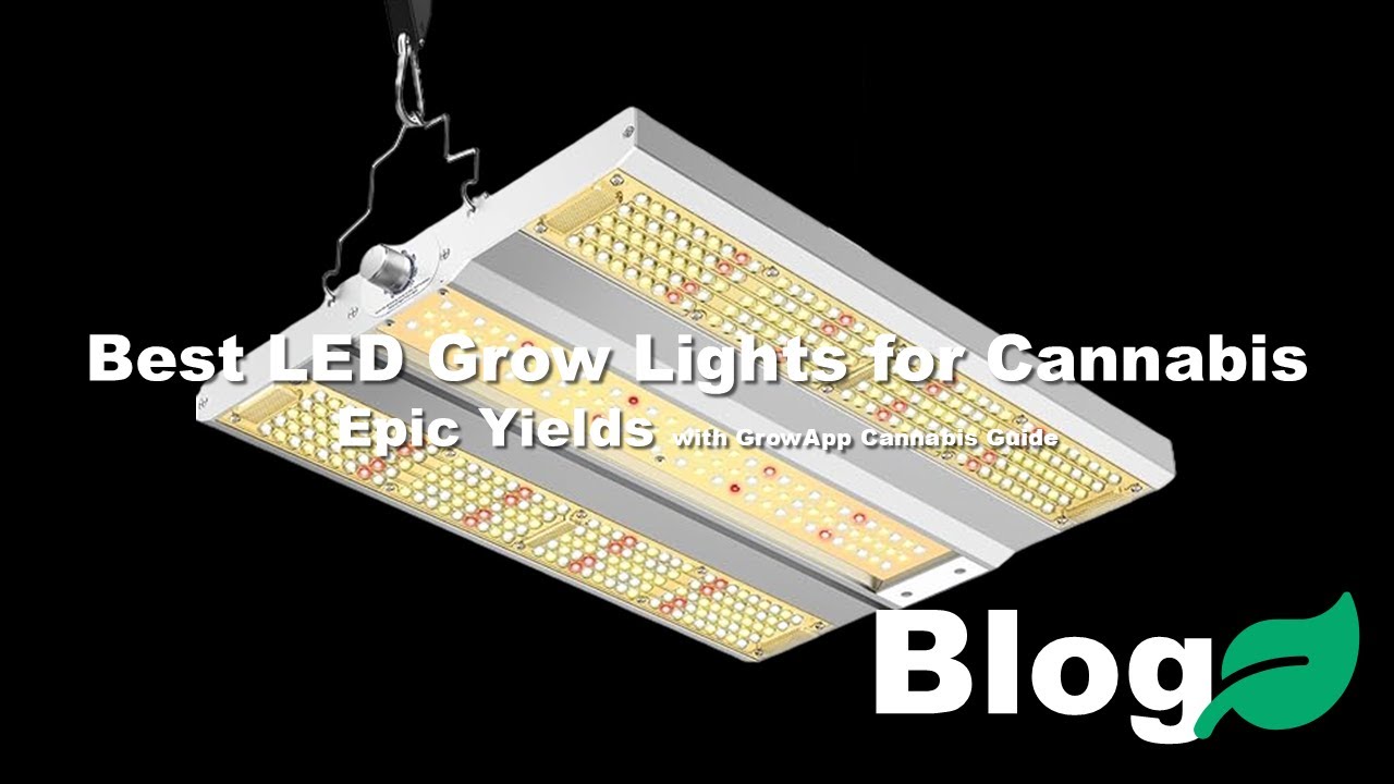Best LED Grow Lights for Cannabis - Epic Yields with GrowApp Cannabis Guide