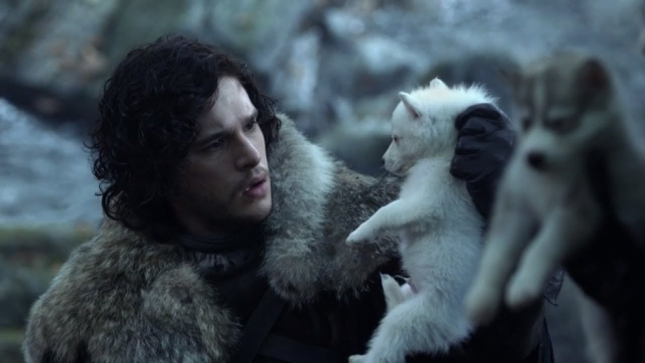 'Game of Thrones' Stars Warn Fans About Bringing Huskies Into Their Homes