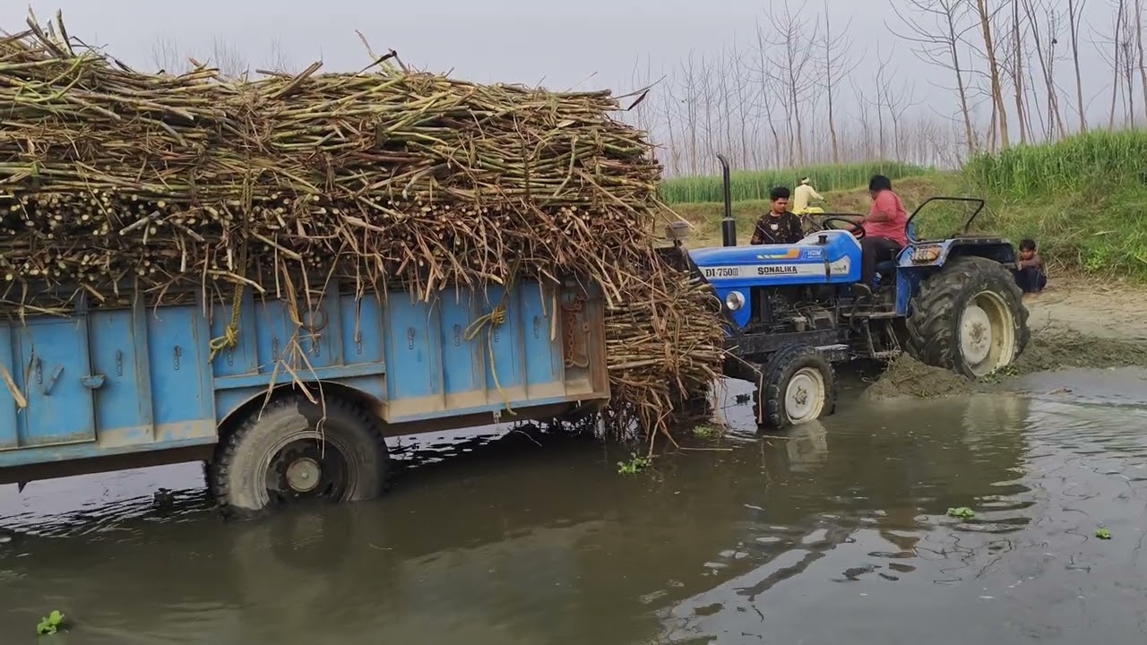 ट्रैक्टर बुरी तरीके से फंस गए 🚜🚜#trending #automobile #youtubeshorts 