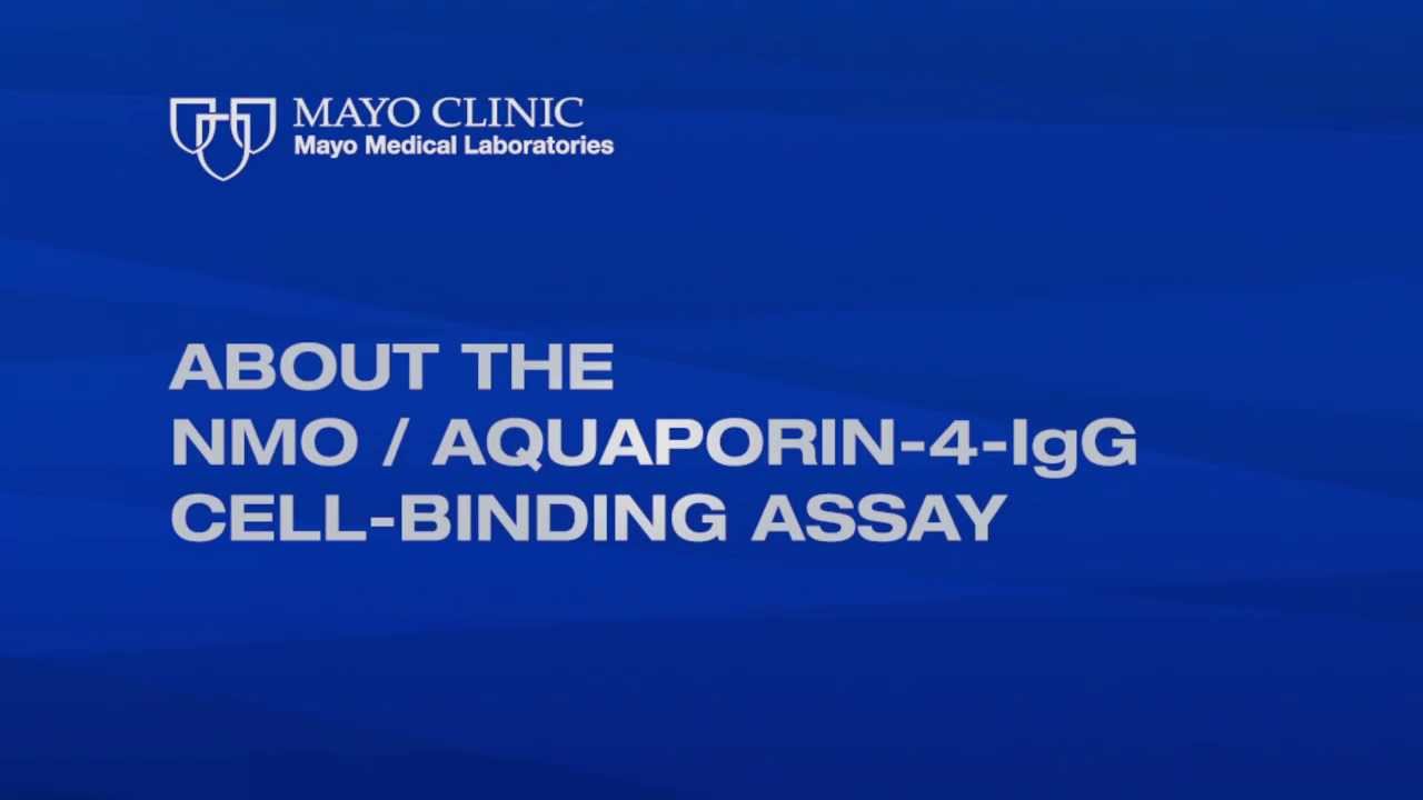 About the NMO/Aquaporin-4-IgG Cell-Binding Assay