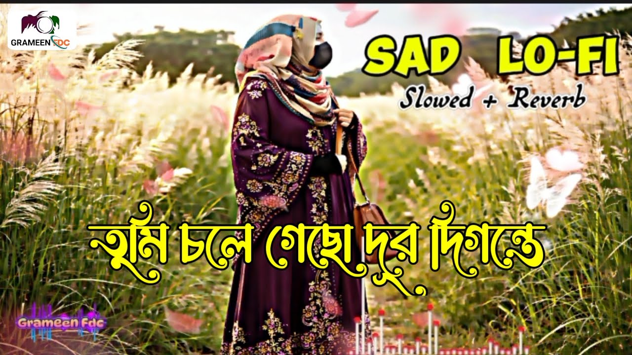 Tumi Chole Geso Dur Digonte 😂😂 তুমি চলে গেছো দূর দিগন্তে | Lo-Fi Music | Slowed  Reverb | Sad Song