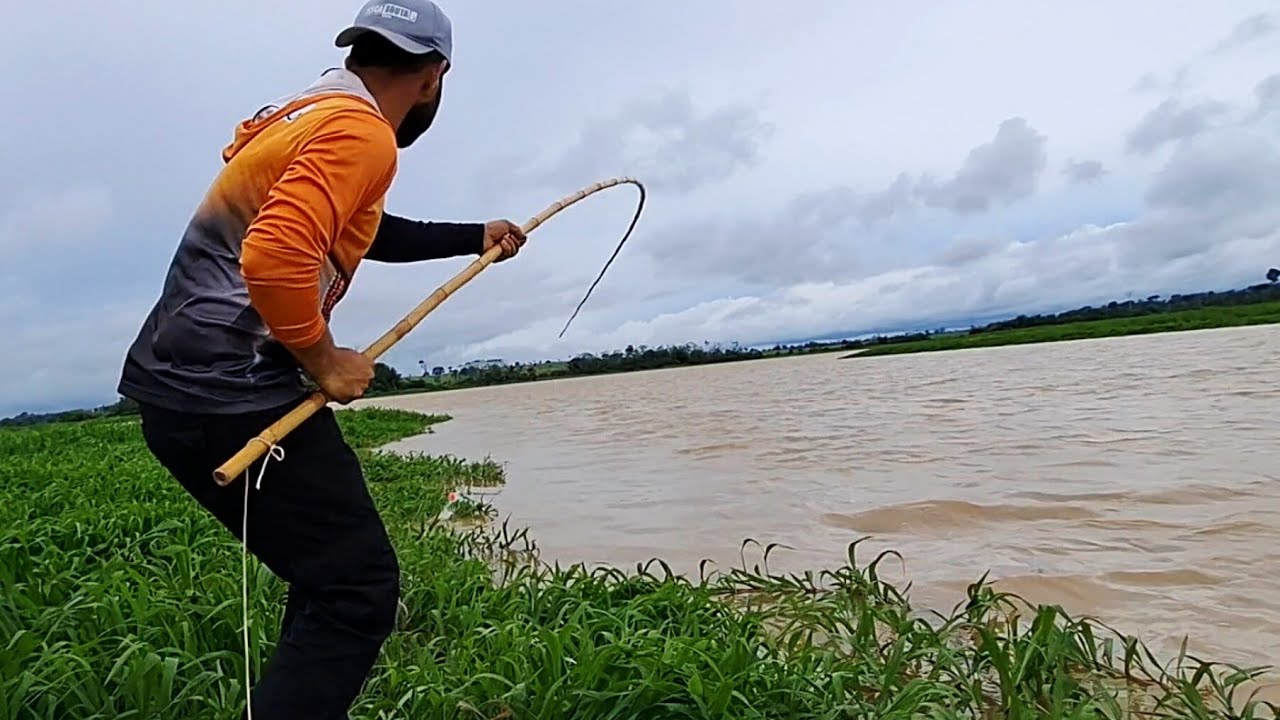 ENFIN ESSE PEIXE APARECEU E FOI PEGO NO VARAÕ DE BAMBU , PESCARIA NO RIO MADEIRA COM ISCA VIVA.