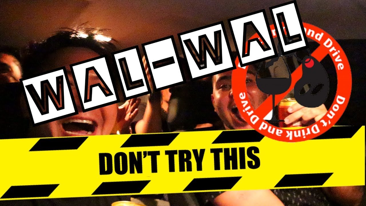 May Videoke sa Brazil ( vlog 027 )  #WALWAL