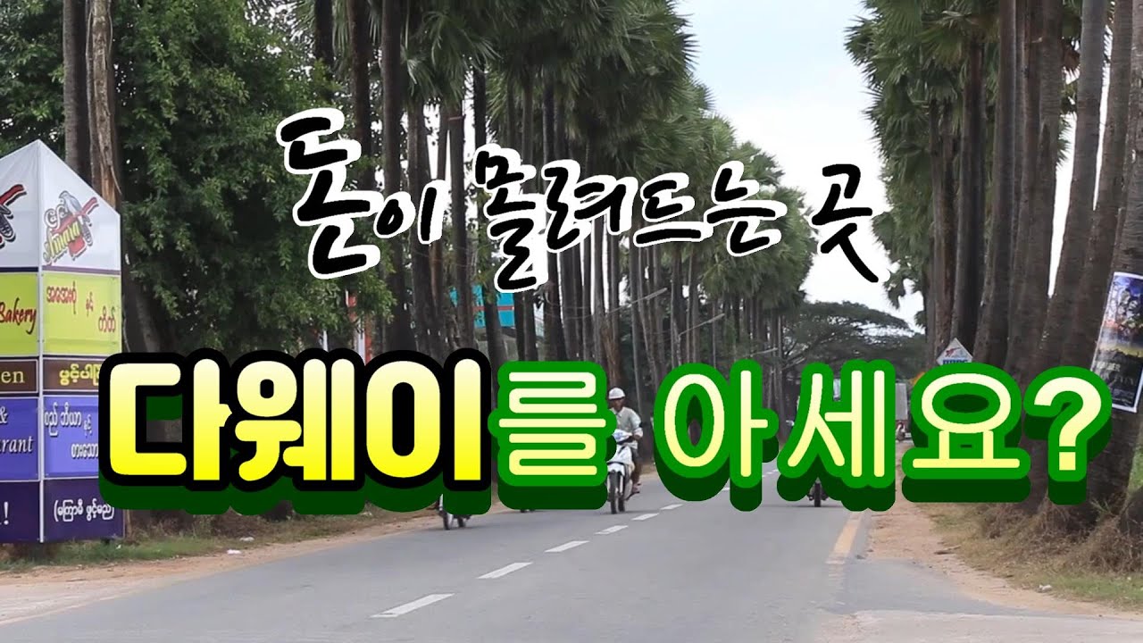 다웨이를 아시나요?   다들 구경오세요,