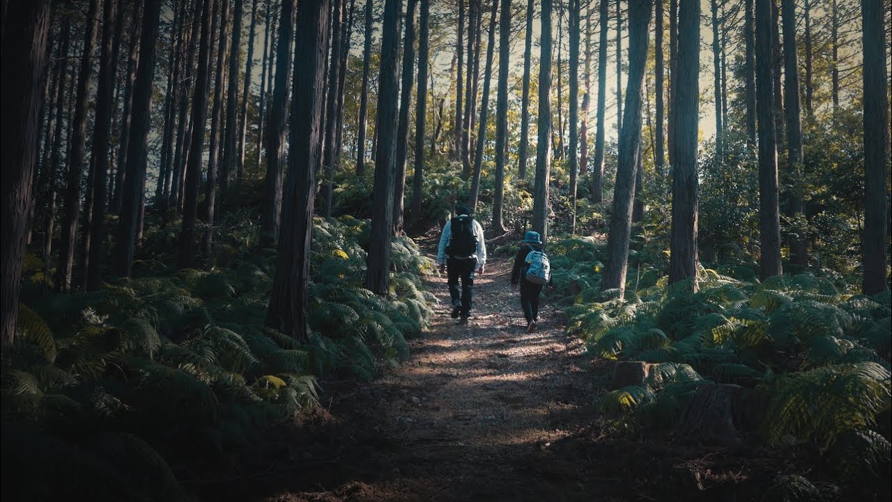 親子で山に登った理由｜何気ない、やくそくの日。
