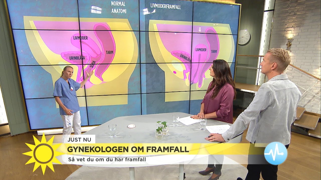 Gynekologen förklarar – så undviker du framfall - Nyhetsmorgon (TV4)