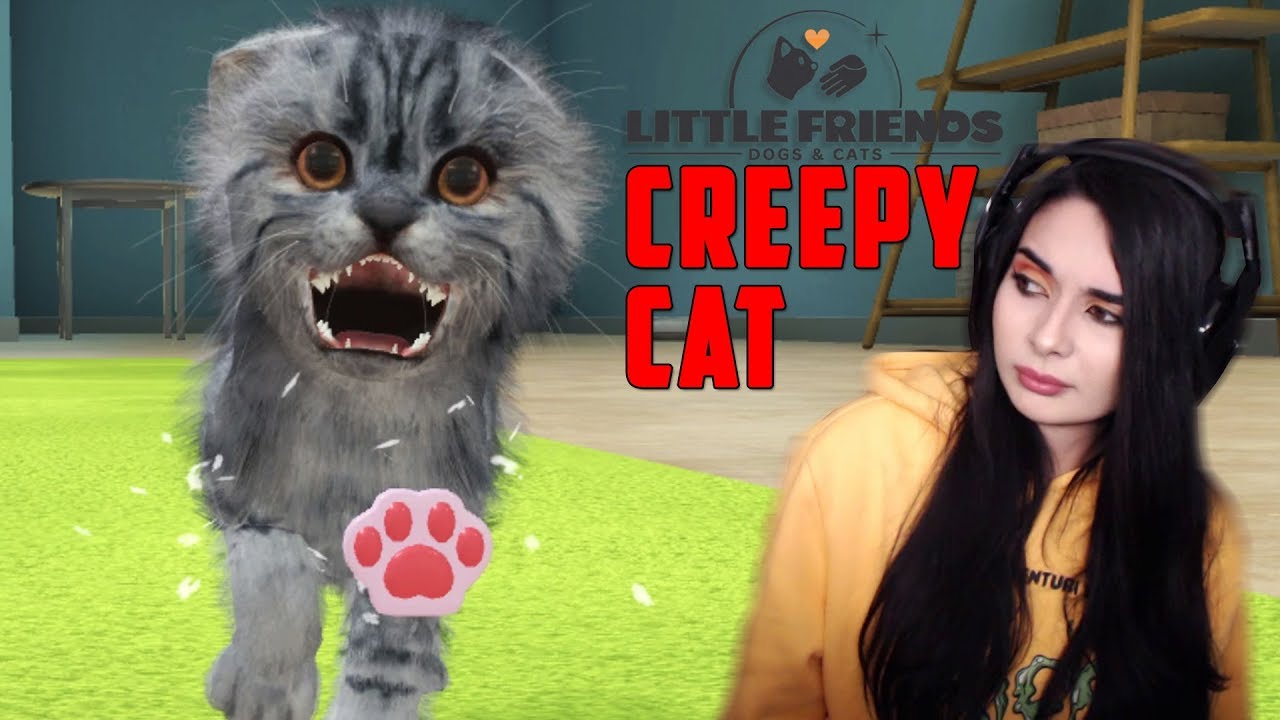 J'AI ADOPTÉ UN CHAT DÉMONIAQUE - (little friends dogs & cats)