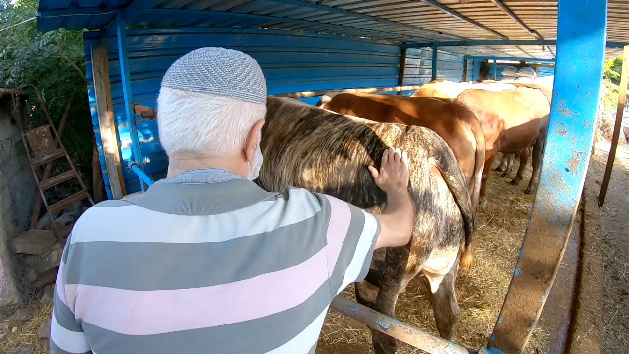 KURBANLIK BAKIMI #8 2020 [GoPro]