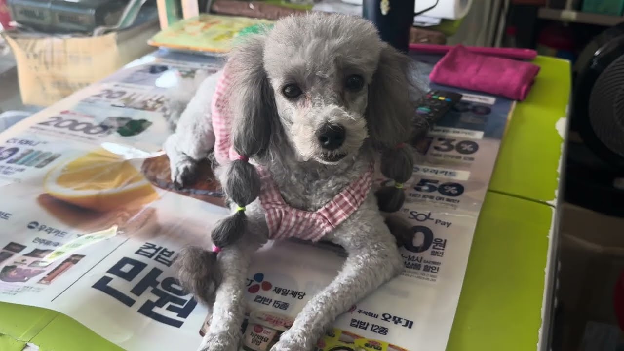 اول مره اسافر من مدينه لمدينه بالزيب لاين⁉️ لجزيرة نامي 🇰🇷🏝️| اكتشفو الجزيرة معي!!