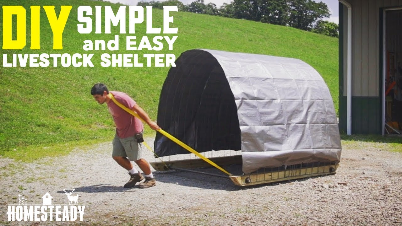 How To Build a Portable Livestock Shelter for goats, cows, sheep, pigs or chickens