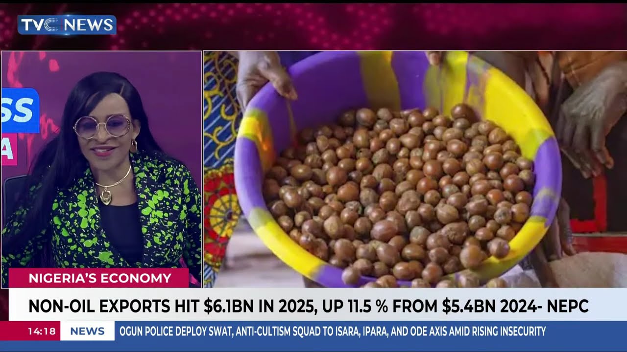NEPC CEO, Nonye Ayeni Assesses Contributions Of Non-Oil Products To Nigerian  Economy