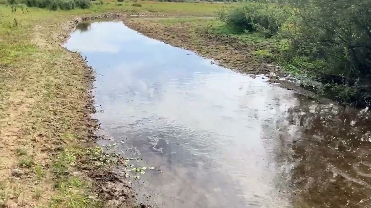 Beerze aan het grondwaterinfuus