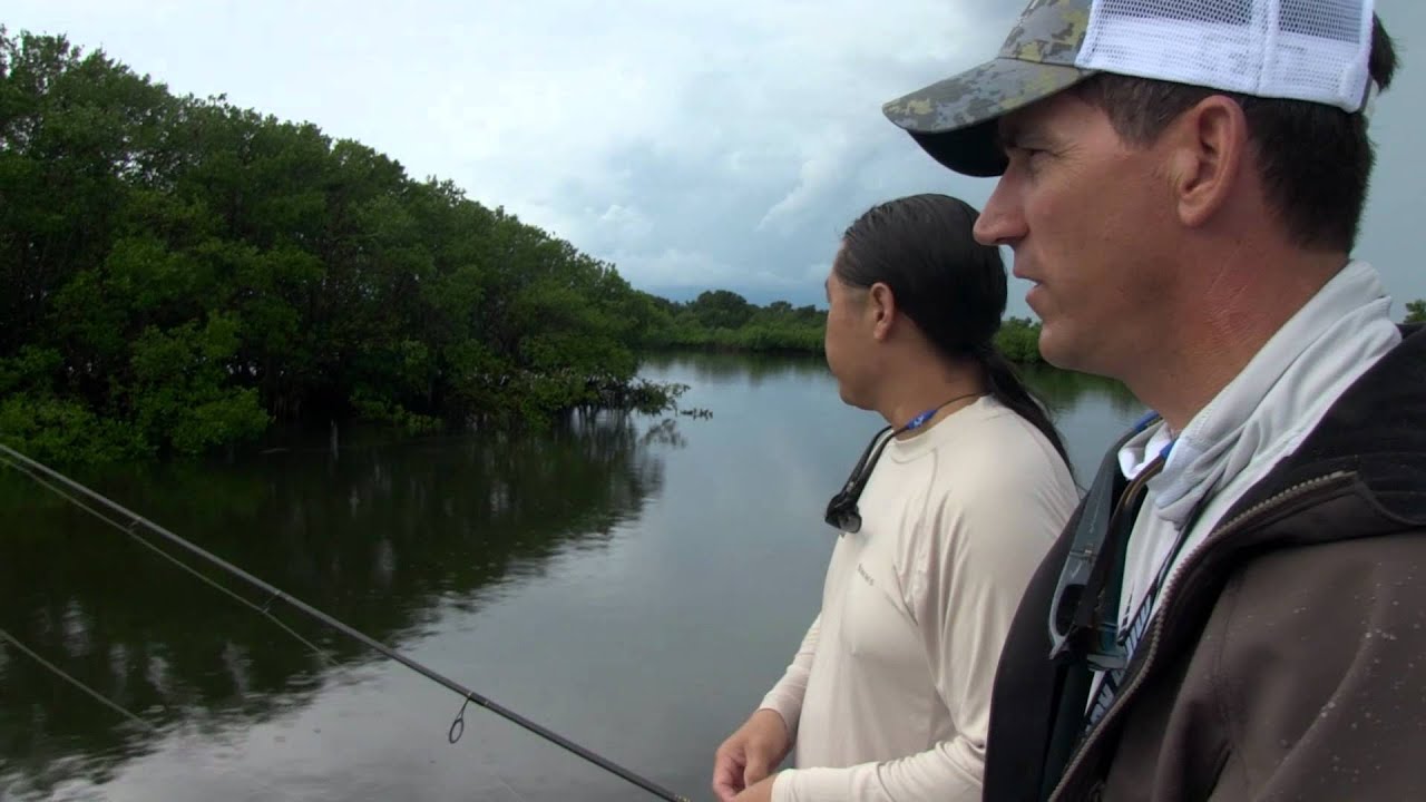 RTFS - Crystal River Scalloping