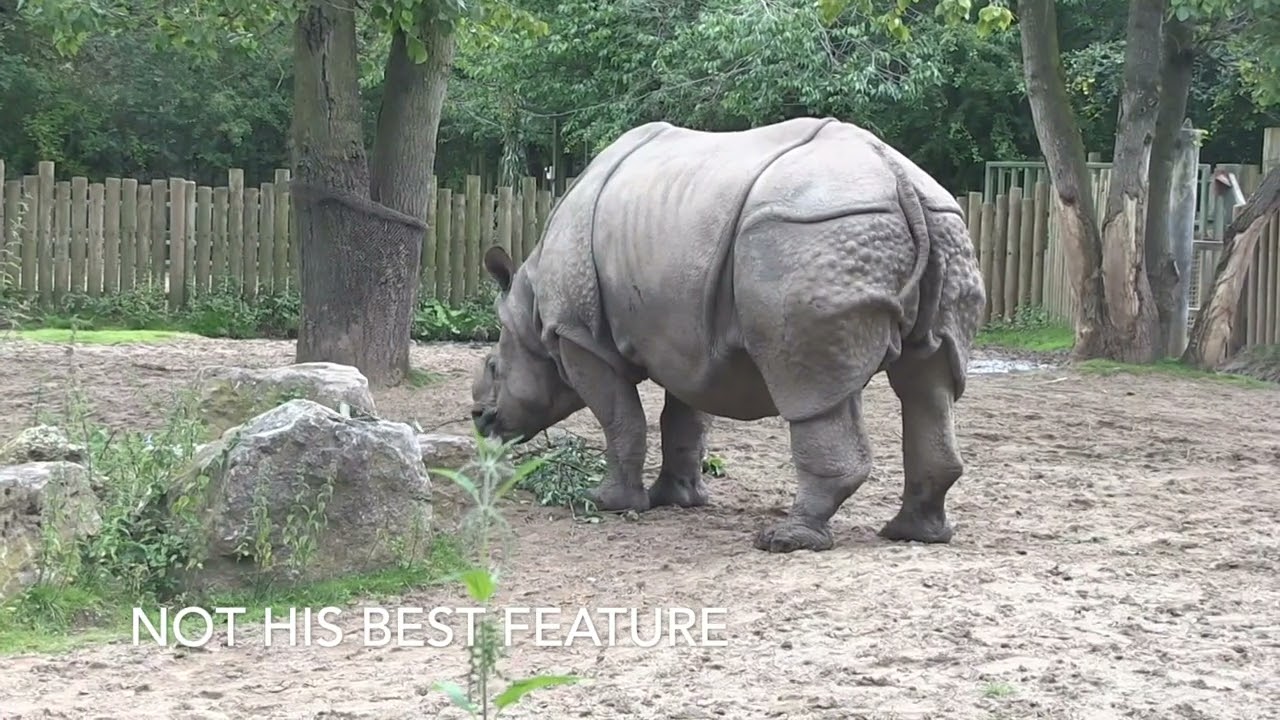 Two Centre Holiday including Chester & Blackpool Zoos