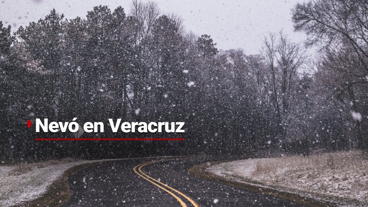Veracruz bajo la nieve | Así se encuentra en estos momentos el Parque Nacional Cofre de Perote