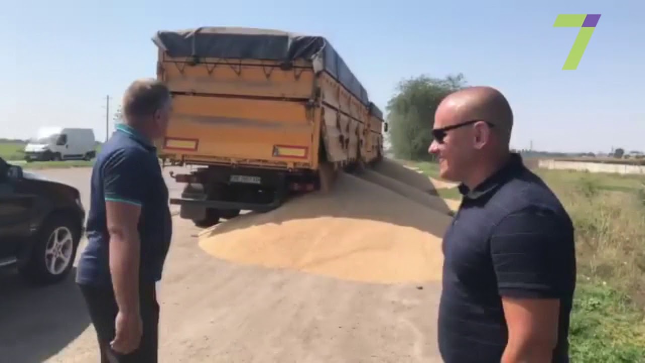Проверка на перегруз в Одесской области: водитель высыпал зерно на обочину (видео)
