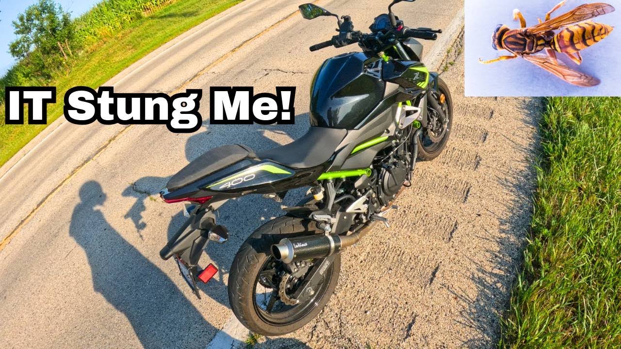 This Bee Tried To END My Ride And FAILED!