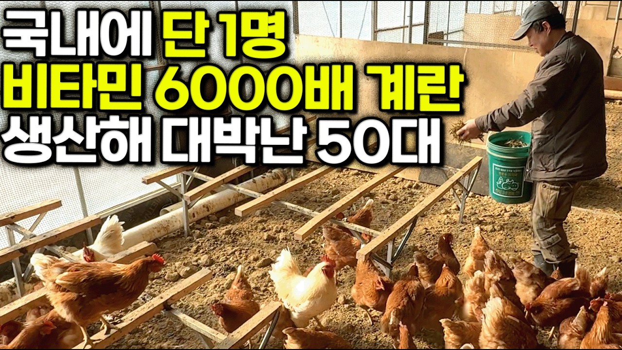 국내에 딱 1명, 13년째 슈퍼 비타민 계란 생산해 대박난 50대 사장님 [등고개농장]ㅣ달걀ㅣ귀농