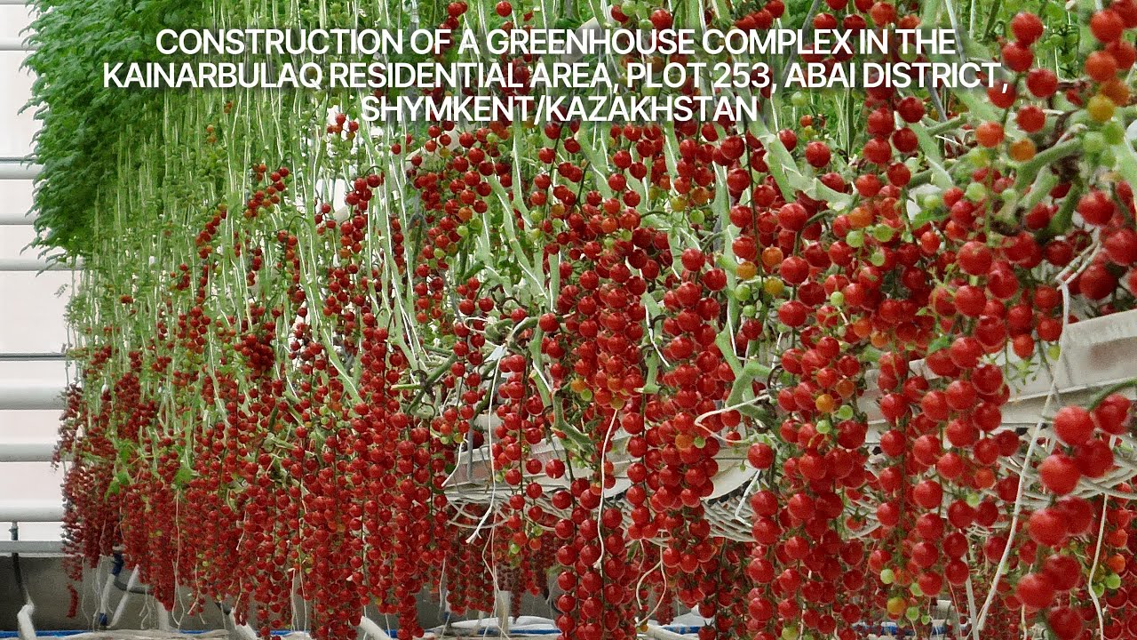 Construction of a greenhouse complex